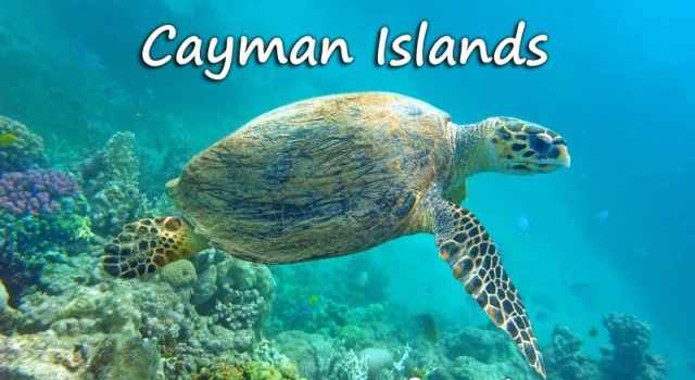 best corporate gift ideas