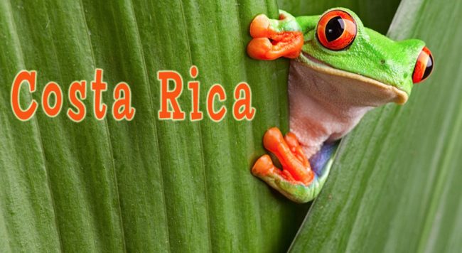 corporate gift items