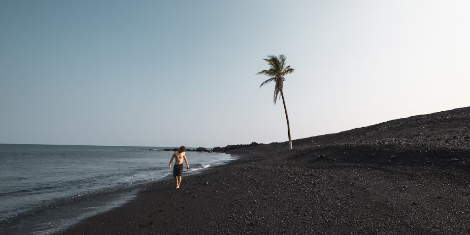 The Best Black Sand Beach Vieques Puerto Rico for Business Trips