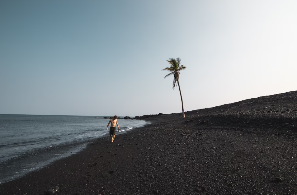 The Best Black Sand Beach Vieques Puerto Rico for Business Trips The Best Black Sand Beach Vieques Puerto Rico for Business Trips